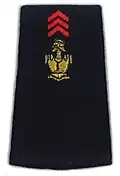 Sapeur du 17e&nbsp;régiment du génie parachutiste.