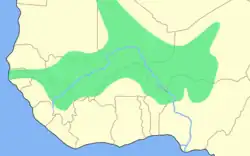 L'empire songhaï.