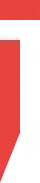 Drapeau complet soleurois