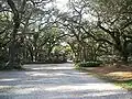 Jardins