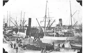 illustration de SS Mont-Blanc