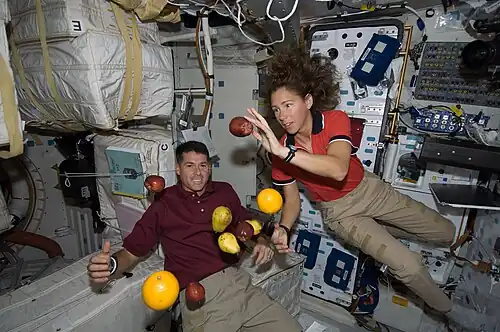 Sur le pont inférieur de la navette spatiale Endeavour dans le cadre de la missionSTS-126.