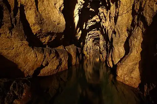 Mine d'argent historique, Tarnowskie Góry