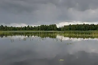 Image illustrative de l’article Lac Saadjärv