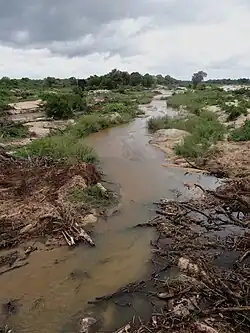 La rivière Sabie presque à sec.