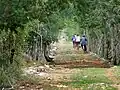 Sacbe conduisant aux ruines de Mayapán, Mayapán
