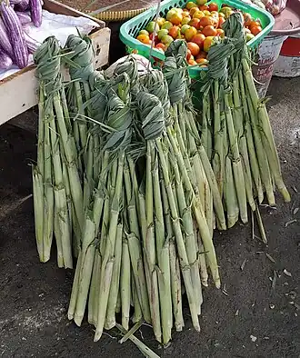 Description de l'image Saccharum edule.jpg.