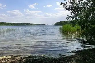 Image illustrative de l’article Lac de Sacrow