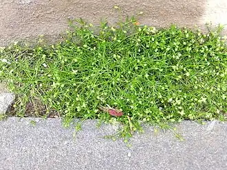 Description de cette image, également commentée ci-après