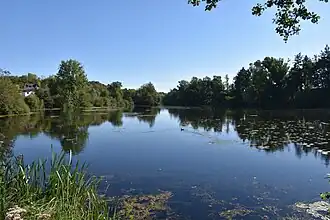 Les étangs.
