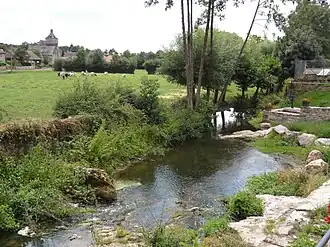 Illustration