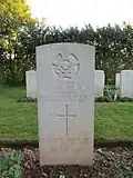 Tombe d'un pilote canadien.