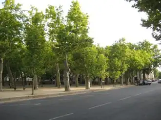 Les Allées