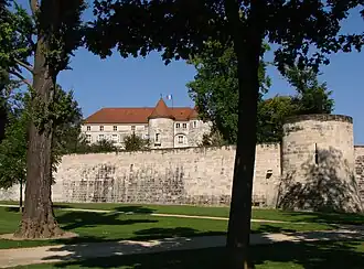 Image illustrative de l’article Château de Saint-Dizier