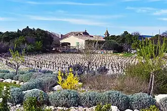 Saint-Jean-de-Minervois