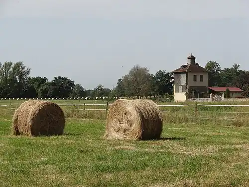 Autre vue.