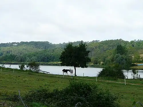 L'étang du Rosier.
