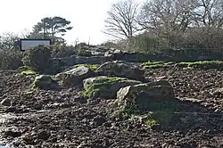 Image illustrative de l’article Dolmen de Kervehennec