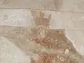 Hérode