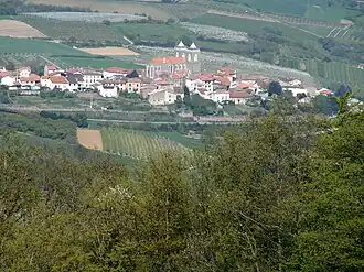 Saint-Didier-sous-Riverie