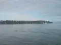Vue sur l’eau à St. Heliers.