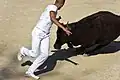 Course libre