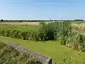 Le marais avec un watergang.