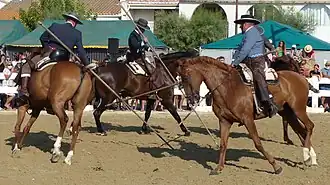 Doma vaquera.