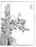 Le sakabashira (ja:逆柱?) est un pilier qui a été installé à l'envers ce qui fait que la maison est hantée.