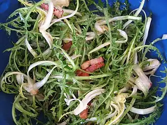 Image illustrative de l’article Salade de pissenlit