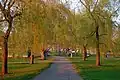 Le chemin des saules de Salem (Salem Willows Path)