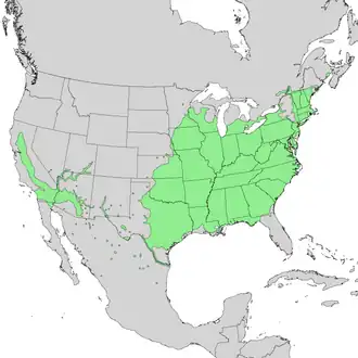 Description de l'image Salix nigra range map 1.png.