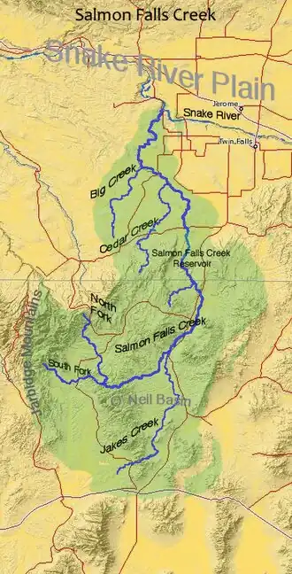 Carte.