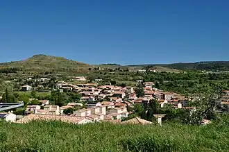 Salsigne