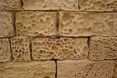 Nids d'abeille sur une pierre de construction.