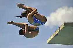 Description de l'image Salto ornamental - UnB.jpg.