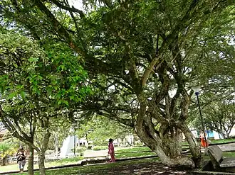 Charalá