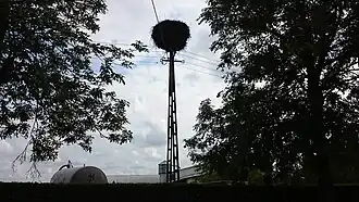 Samin (Dąbrówno)