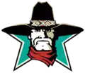 Texans de San Antonio