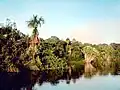 La nature au bord de l'eau en 2002.
