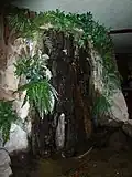 La cascade