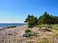 Nature de l'île.