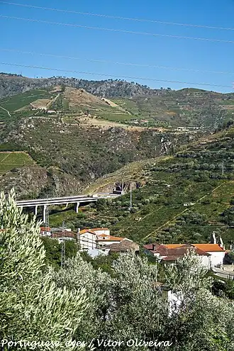 Sande (Lamego)