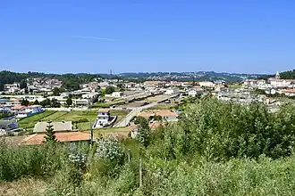 Sanguedo