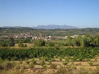 Sant Pere de Riudebitlles