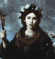 Image illustrative de l’article Rose de Viterbe