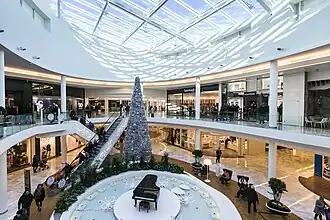 Sapin de Noël Toison d'or.