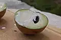 Manilkara zapota, chair non mûre et noyau de la sapotille