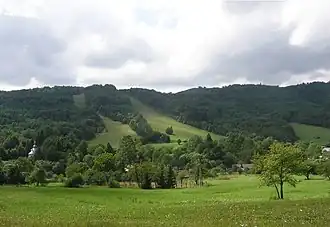 Šarbov