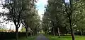 Chemin Sarkolan raitti.